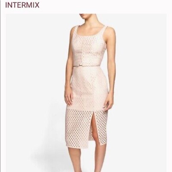 INTERMIX Dresses & Skirts - Intermix Womens Embroidered Lace Pencil Skirt Blush Pink sz M midi